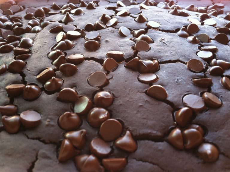 Black Bean Brownies: FOX News Cooking Segments