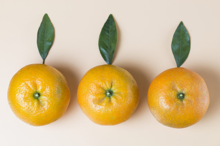 The Belly Button Fruit